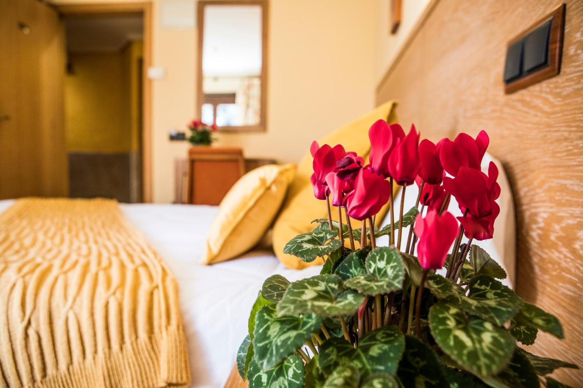 Hotel Casa Jose Diaz San Agustín de Guadalix Dış mekan fotoğraf